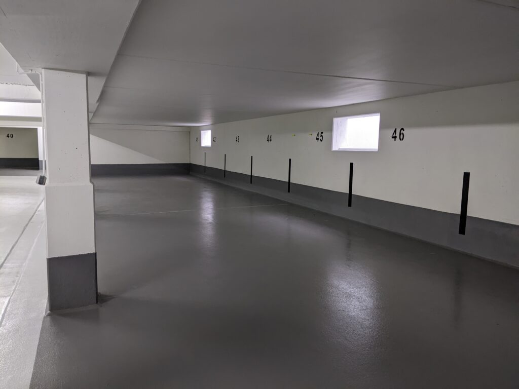 PXL_20231212_084650868