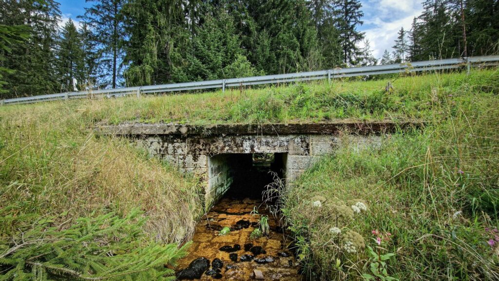 Bruecke-Fuhrbach-3