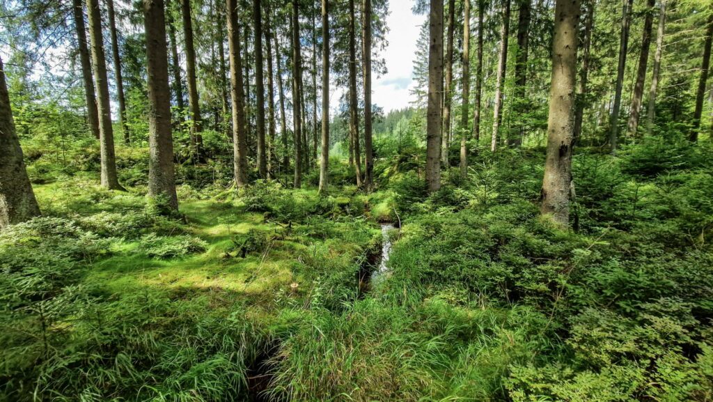 Bruecke-Fuhrbach-4